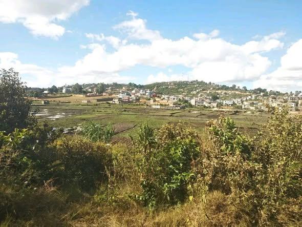 Terrain 300 m² à vendre — Itaosy - photo 2