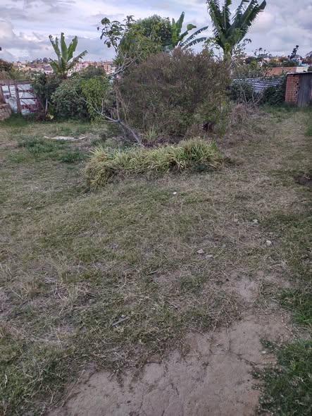 Maison 4 ch. à vendre — Bypass - photo 3