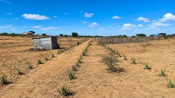 Maison à vendre — Toliara - photo 3