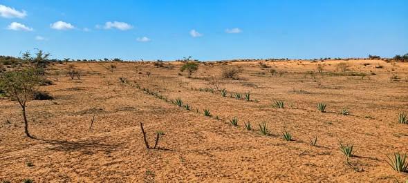 Maison à vendre — Toliara - photo 4