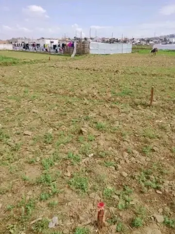 Terrain à vendre — Ambohimangakely | Fonenako
