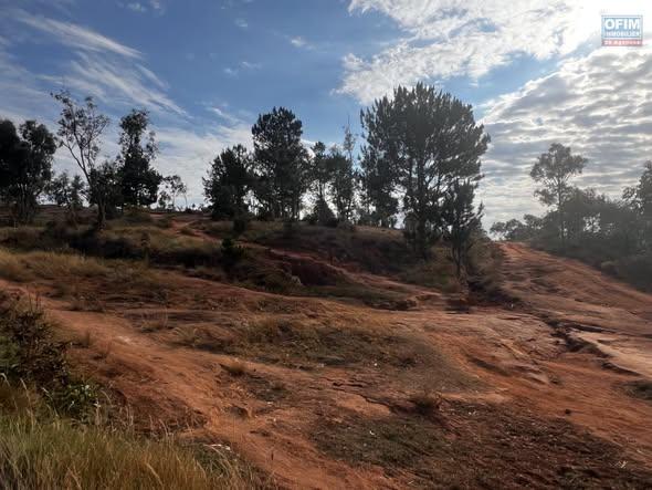 Terre agricole 110 000 m² à vendre — Antananarivo - photo 1