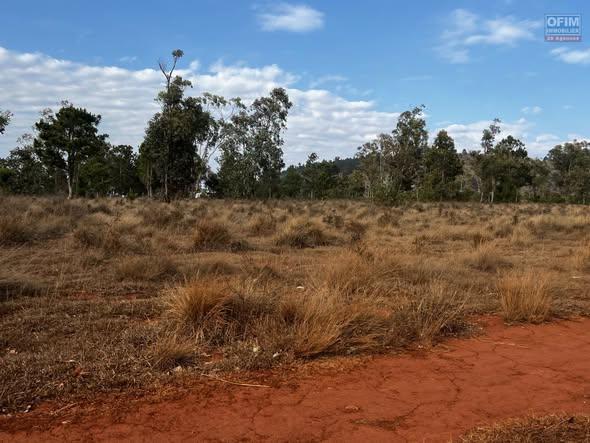 Terre agricole 110 000 m² à vendre — Antananarivo - photo 3
