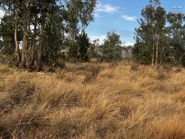 Terre agricole 110 000 m² à vendre — Antananarivo - photo 5