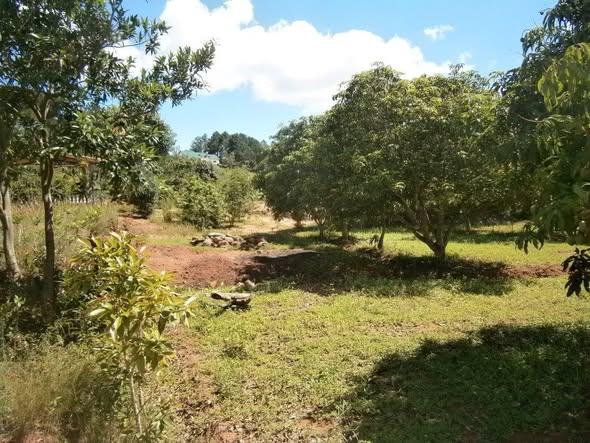 Maison à vendre — Ambohimanga Rova - photo 2