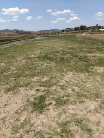 Terre agricole à vendre — Anosiala — 7 000 000 Ar | Fonenako