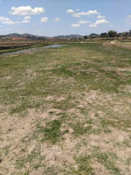 Terre agricole à vendre — Anosiala - photo 2