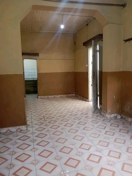 Trano Ahofa 1 ch. à louer — Ambodin'Isotry - photo 2
