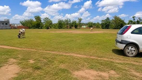 Terrain 6 000 m² à vendre — Ambohitrimanjaka - photo 3