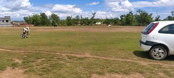 Terrain 6 000 m² à vendre — Ambohitrimanjaka - photo 4
