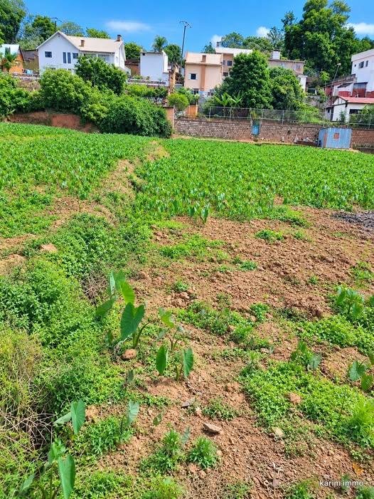 Terrain 660 m² à vendre — Ambohitrarahaba - photo 1