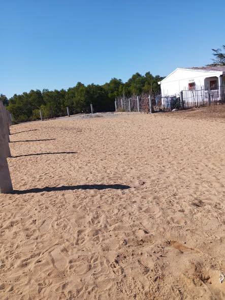 Terrain 600 m² à vendre — Amborovy - photo 3
