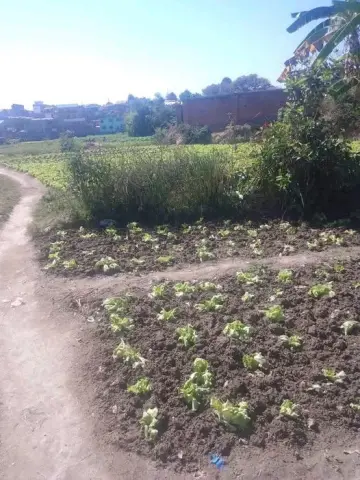 Terrain 100 m² à vendre… — 5 000 000 Ar | Fonenako