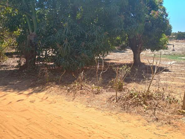 Terrain 140 m² à vendre — Mahajanga - photo 1