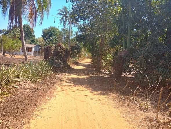 Terrain 140 m² à vendre — Mahajanga - photo 4