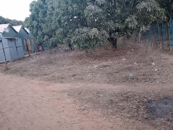 Terrain 350 m² à vendre — Mahajanga - photo 1