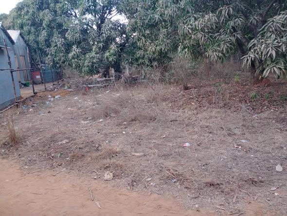 Terrain 350 m² à vendre — Mahajanga - photo 2