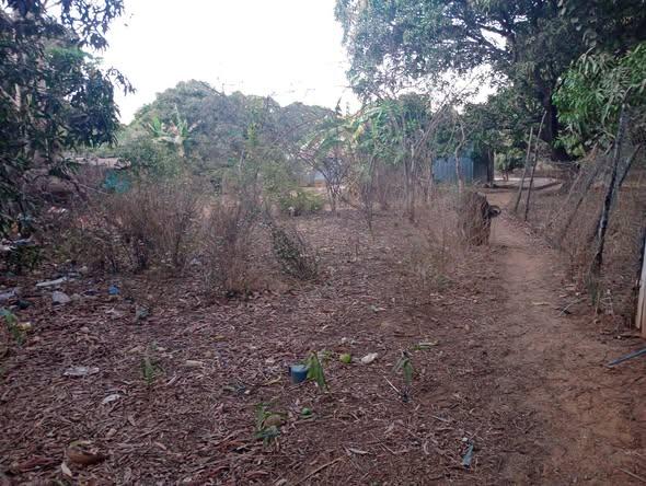Terrain 350 m² à vendre — Mahajanga - photo 3
