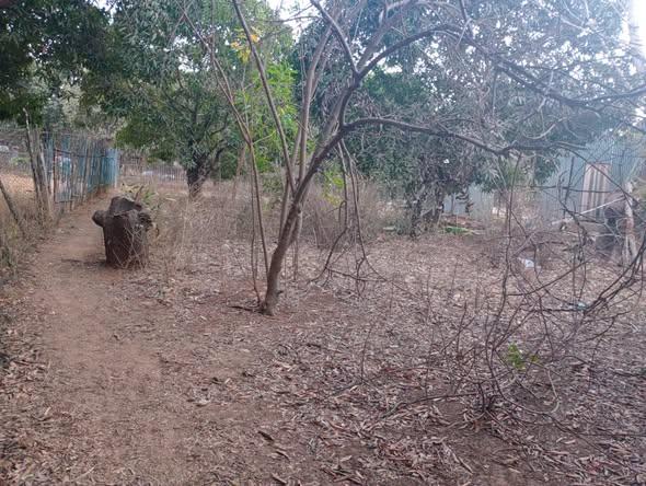 Terrain 350 m² à vendre — Mahajanga - photo 4