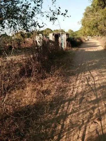 Maison 2 ch. à vendre — Ambondrona — 20 000 000 Ar | Fonenako