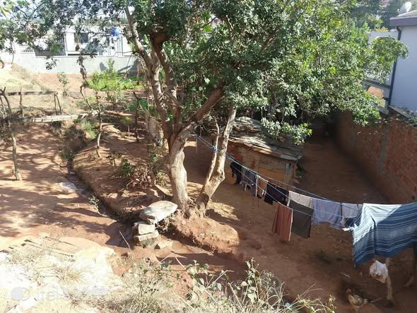 Terrain 1 300 m² à vendre — Ambohibao - photo 5