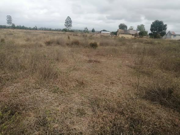 Terrain 50 ares à vendre — Moramanga · 10 000 Ar/m² - photo 2