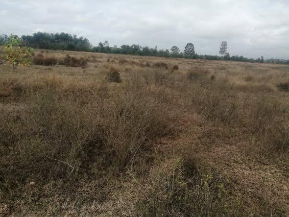 Terrain 50 ares à vendre — Moramanga · 10 000 Ar/m² - photo 3