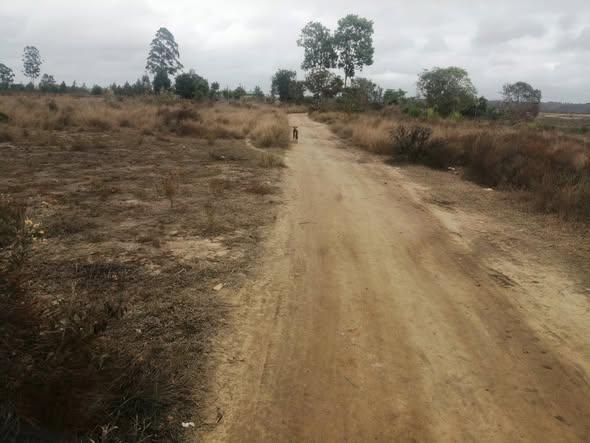 Terrain 50 ares à vendre — Moramanga · 10 000 Ar/m² - photo 4