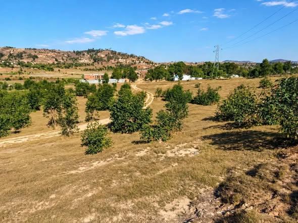 Terrain 300 m² à vendre — Ampitatafika - photo 5