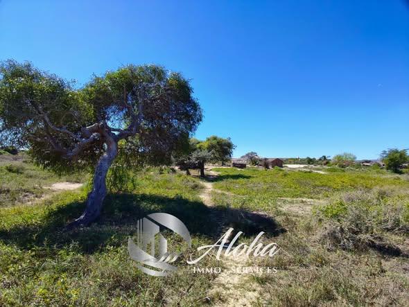 Terrain 4 986 m² à vendre — Toliara - photo 4