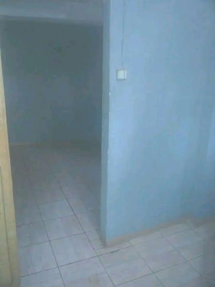 Maison 1 ch. à louer — Ivato - photo 2