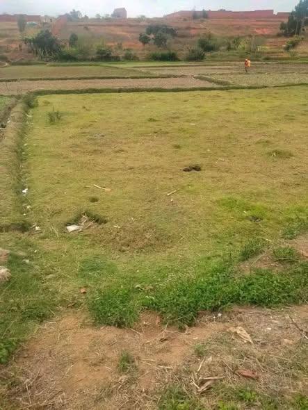 Terrain 200 m² à vendre — Sabotsy - photo 2