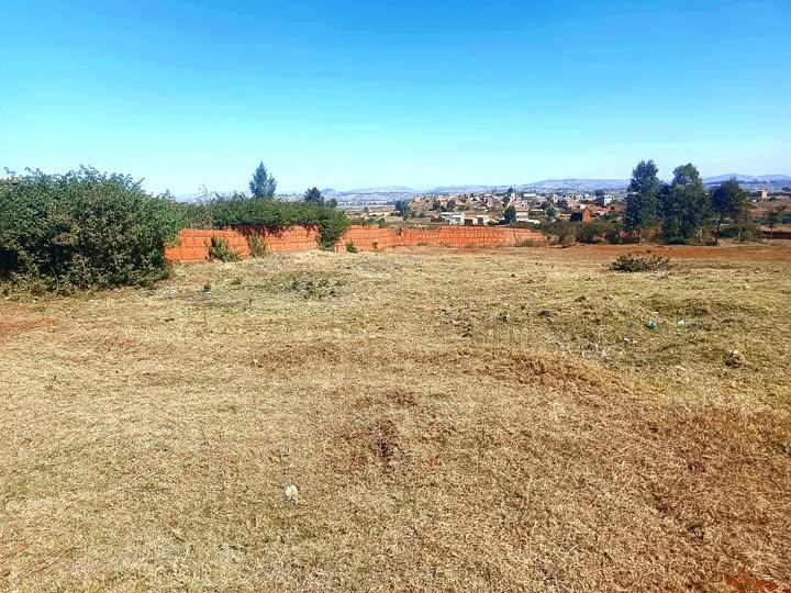 Terrain à vendre — Ambohidratrimo - photo 1