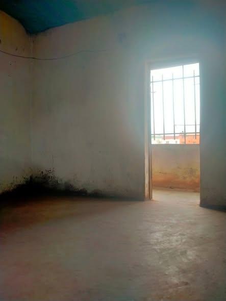Trano Ahofa 1 ch. à louer — Ampasika - photo 2