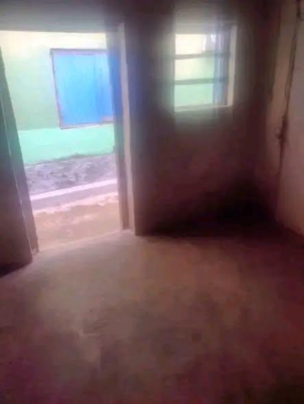 Trano Ahofa 1 ch. à louer — Ampitatafika - photo 2