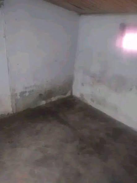 Trano Ahofa 1 ch. à louer — Ampitatafika - photo 3