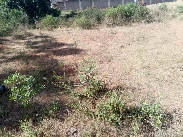 Terrain à vendre — Ambohidratrimo - photo 4