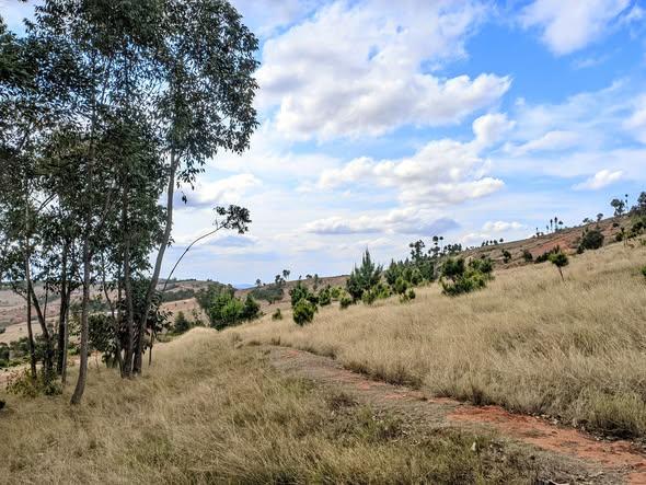 Terrain à vendre — Imerintsiatosika - photo 2