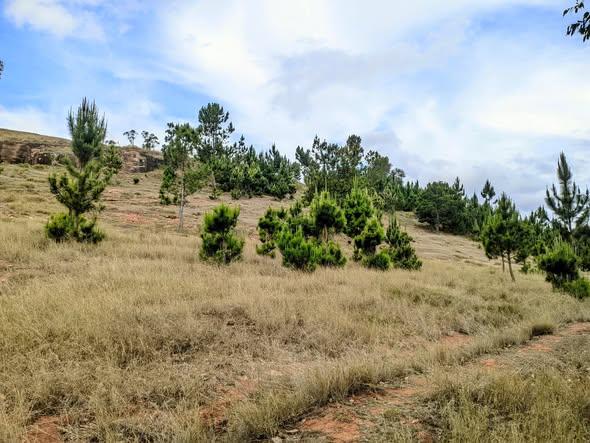 Terrain à vendre — Imerintsiatosika - photo 3