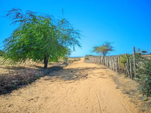 Terrain 500 m² à vendre — Toliara - photo 1