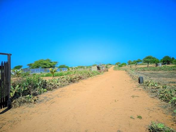 Terrain 500 m² à vendre — Toliara - photo 2
