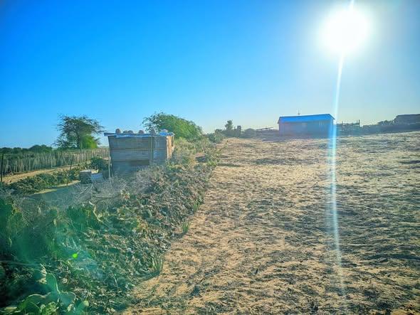 Terrain 500 m² à vendre — Toliara - photo 4