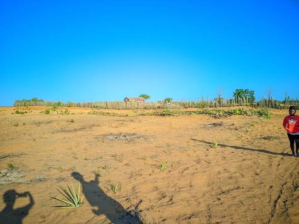 Terrain 500 m² à vendre — Toliara - photo 5
