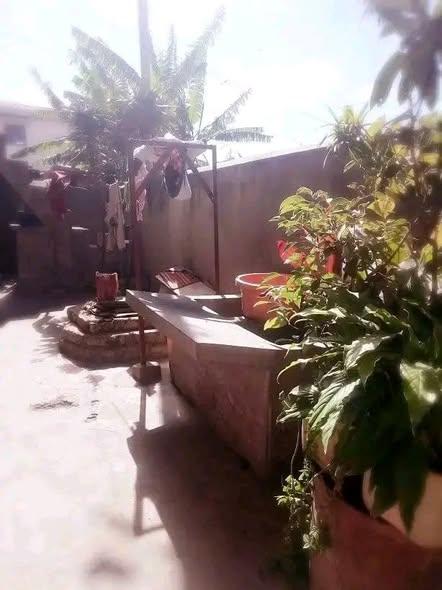Trano Ahofa 1 ch. à louer — Ampasika - photo 1