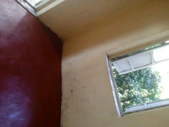 Trano Ahofa à louer — Manakambahiny - photo 4