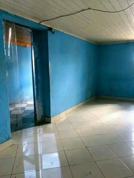 Trano Ahofa 2 ch. à louer — Andavamamba - photo 2