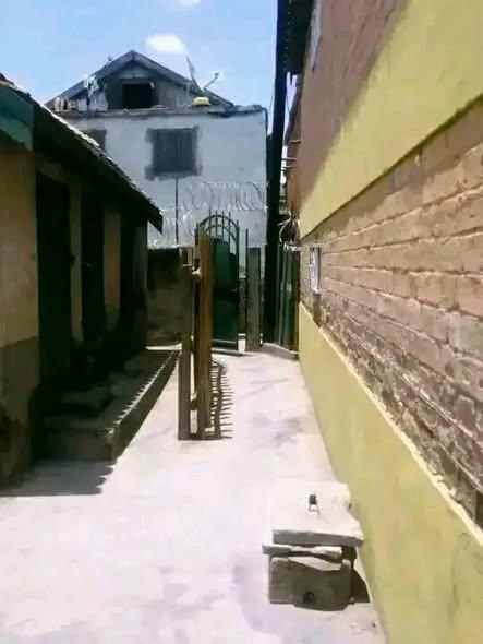 Trano Ahofa 2 ch. à louer — Andavamamba - photo 3