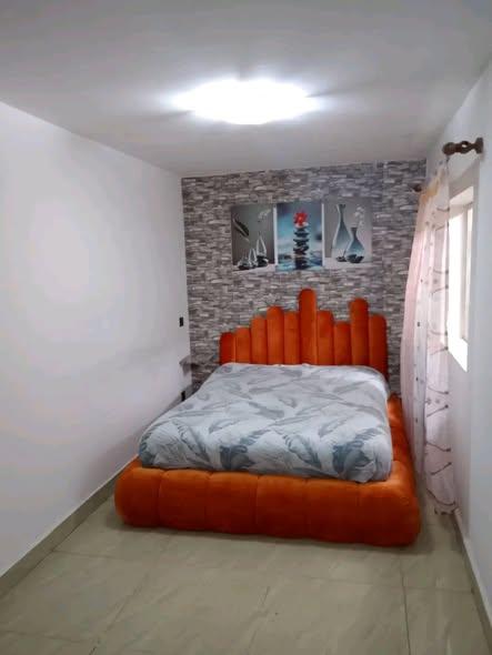 Trano Ahofa 1 ch. à louer — Manakambahiny - photo 2