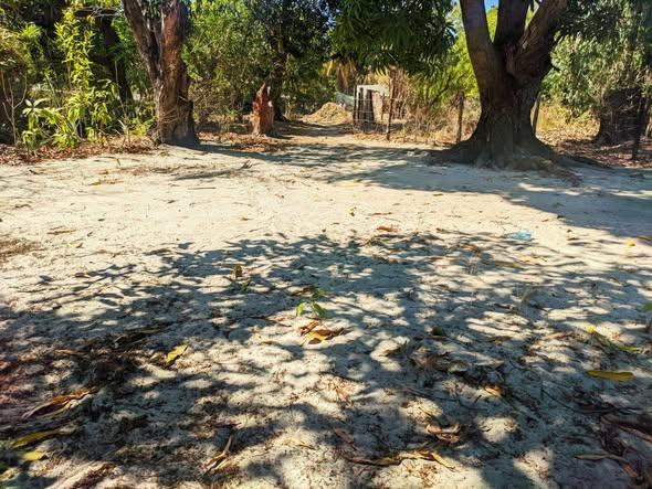 Terrain 300 m² à vendre — Mahajanga - photo 1