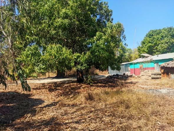 Terrain 300 m² à vendre — Mahajanga - photo 3